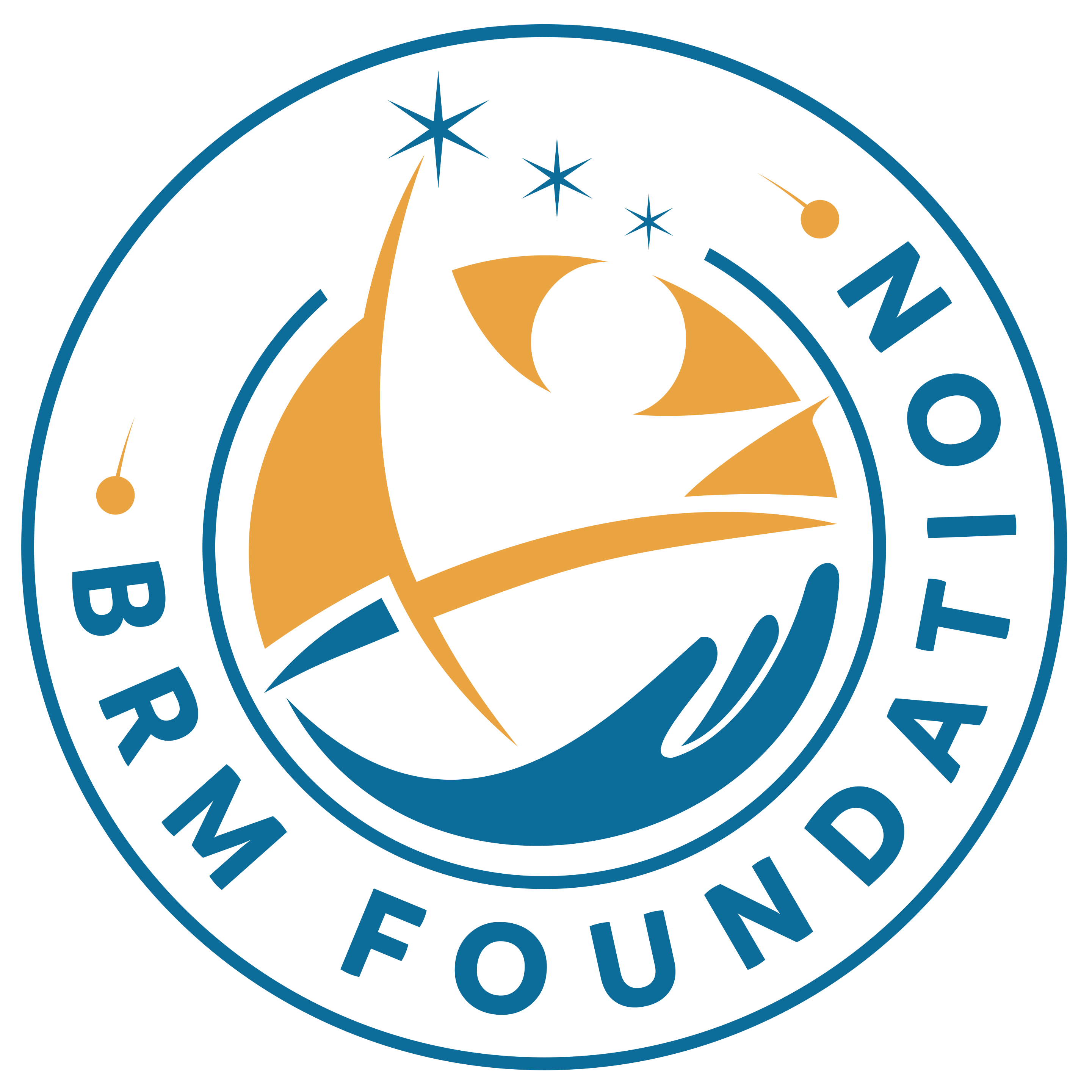 BRM Foundation